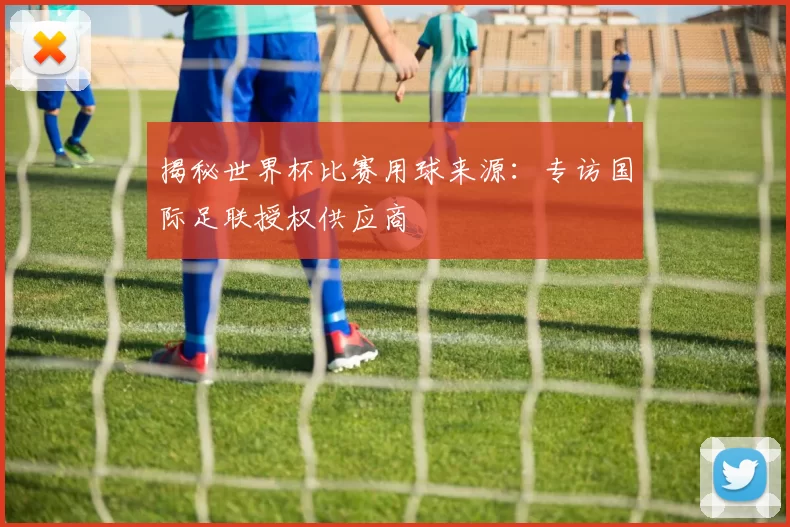揭秘世界杯比赛用球来源：专访国际足联授权供应商