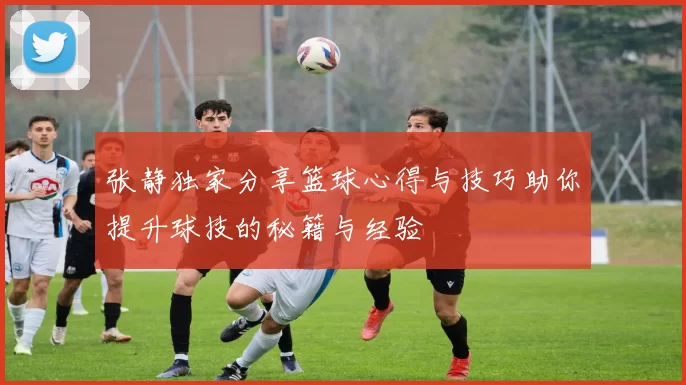 张静独家分享篮球心得与技巧助你提升球技的秘籍与经验