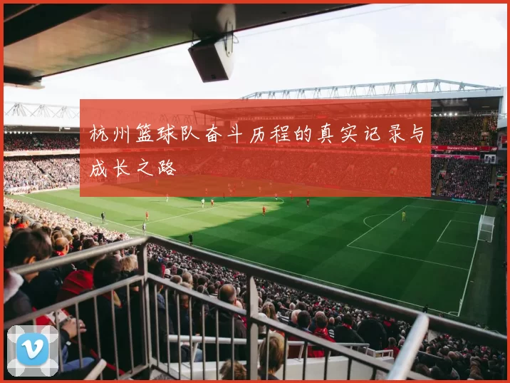 杭州篮球队奋斗历程的真实记录与成长之路
