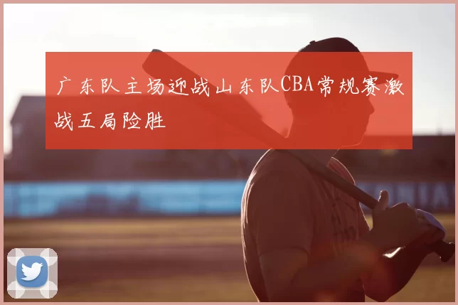 广东队主场迎战山东队CBA常规赛激战五局险胜