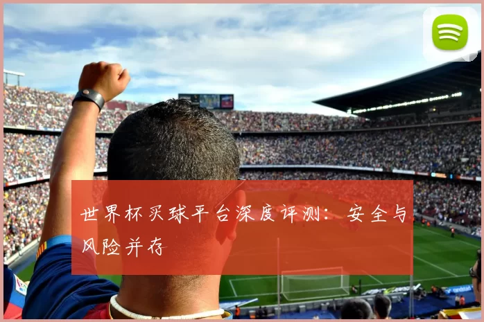 世界杯买球平台深度评测:安全与风险并存