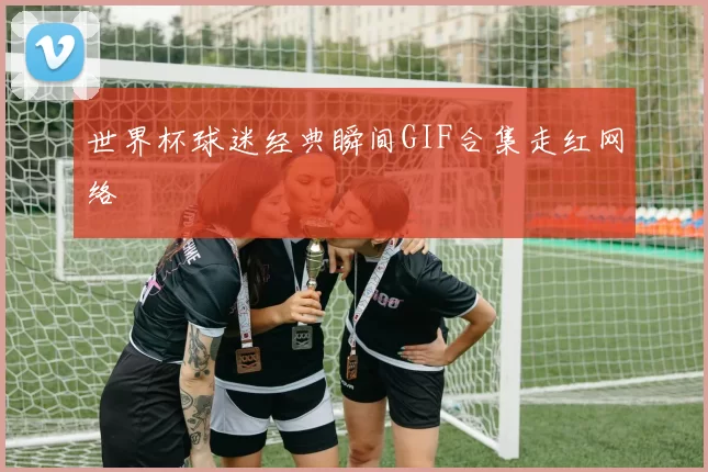 世界杯球迷经典瞬间GIF合集走红网络