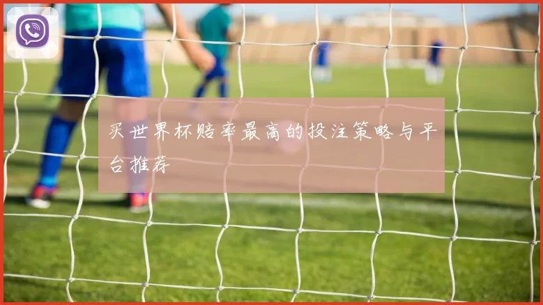 买世界杯赔率最高的投注策略与平台推荐