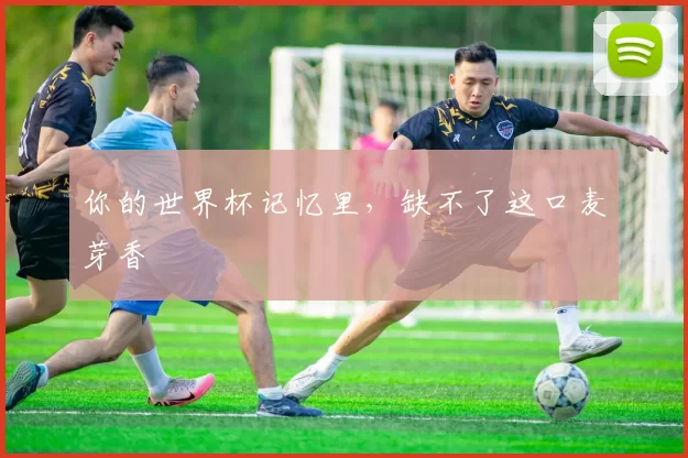 你的世界杯记忆里，缺不了这口麦芽香