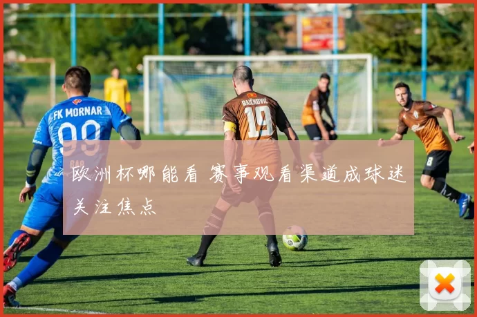 欧洲杯哪能看 赛事观看渠道成球迷关注焦点