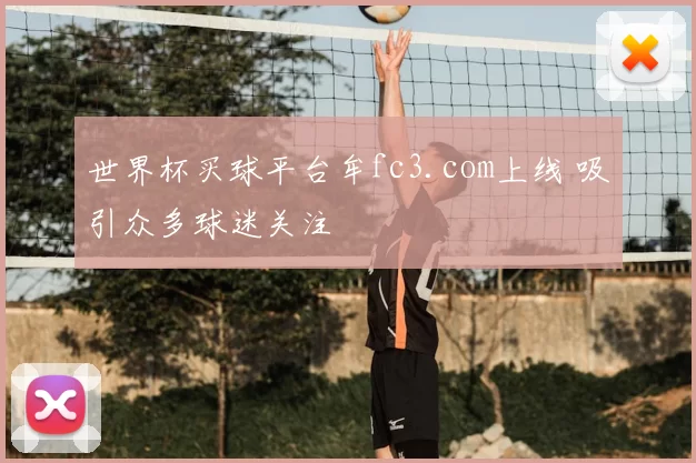 世界杯买球平台牟fc3.com上线 吸引众多球迷关注