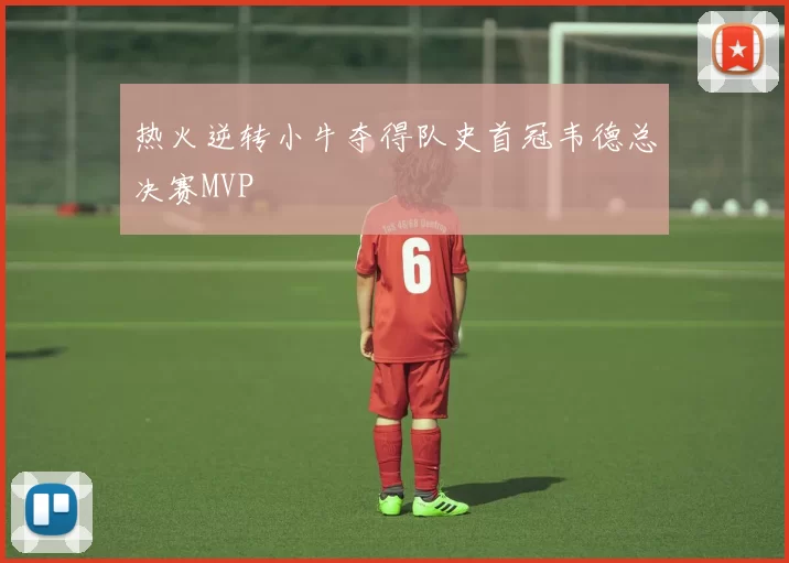 热火逆转小牛夺得队史首冠韦德总决赛MVP